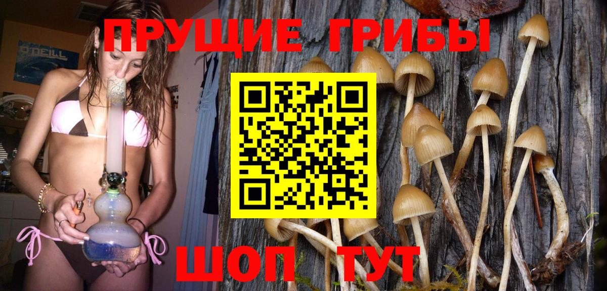 Псилоцибиновые грибы ЛСД Тавда
